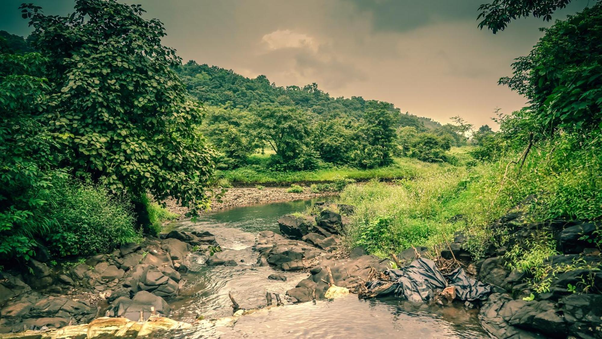 Whispering Peepul Resort Badlapur Esterno foto