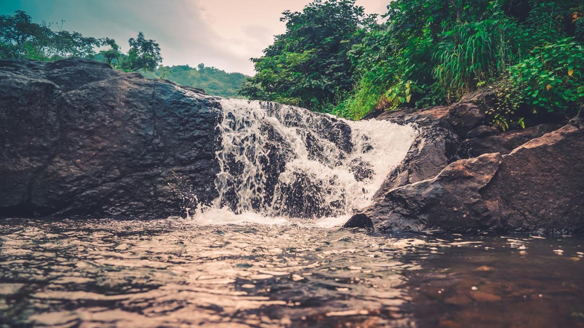 Whispering Peepul Resort Badlapur Esterno foto