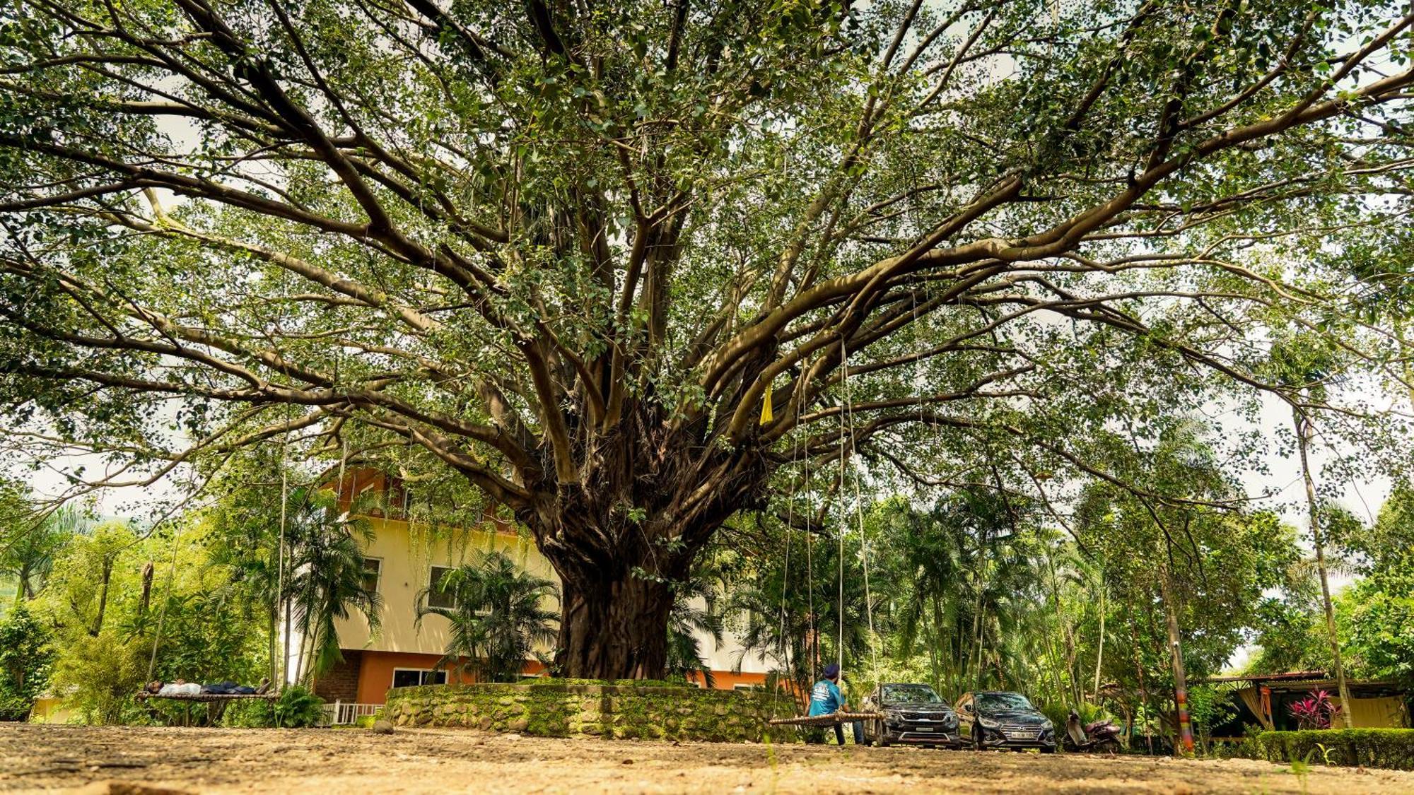 Whispering Peepul Resort Badlapur Esterno foto