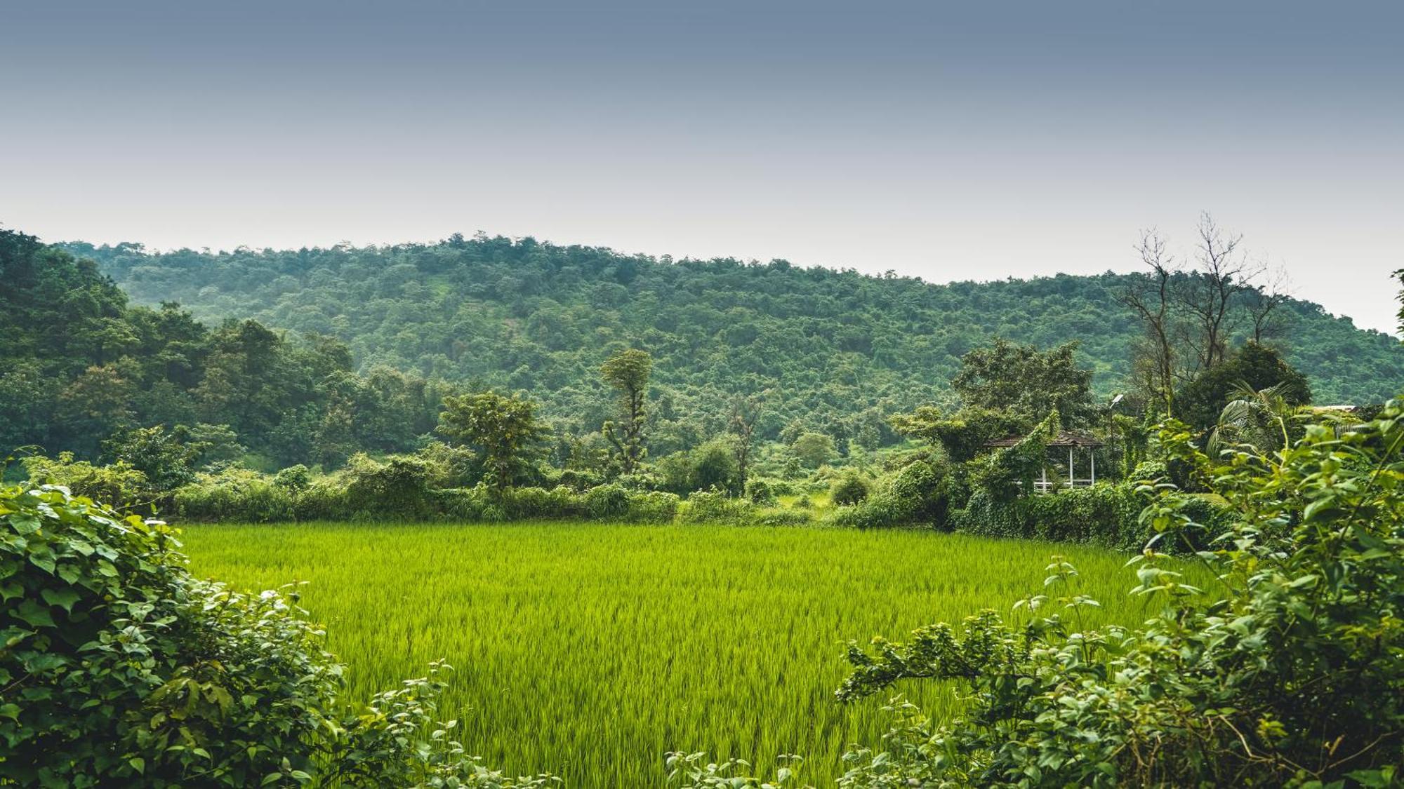 Whispering Peepul Resort Badlapur Esterno foto
